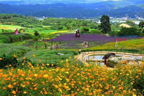 国庆中秋假期 云南临沧乡村旅游成热点